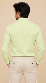 Neehar | Pale Green Formal Shirt for Men | Office & Daily Wear - Image 3
