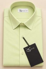 Neehar | Pale Green Formal Shirt for Men | Office & Daily Wear - Image 4