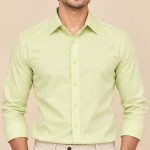 Neehar | Pale Green Formal Shirt for Men | Office & Daily Wear
