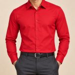 Neehar | Red Formal Shirt for Men | Office & Daily Wear